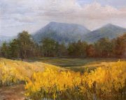 Summertime Visits House Mountain